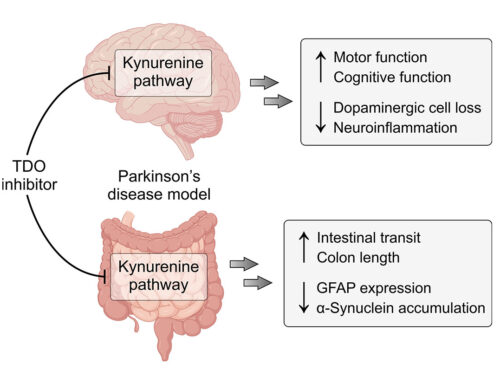 TDO is a novel therapeutic target for Parkinson’s disease