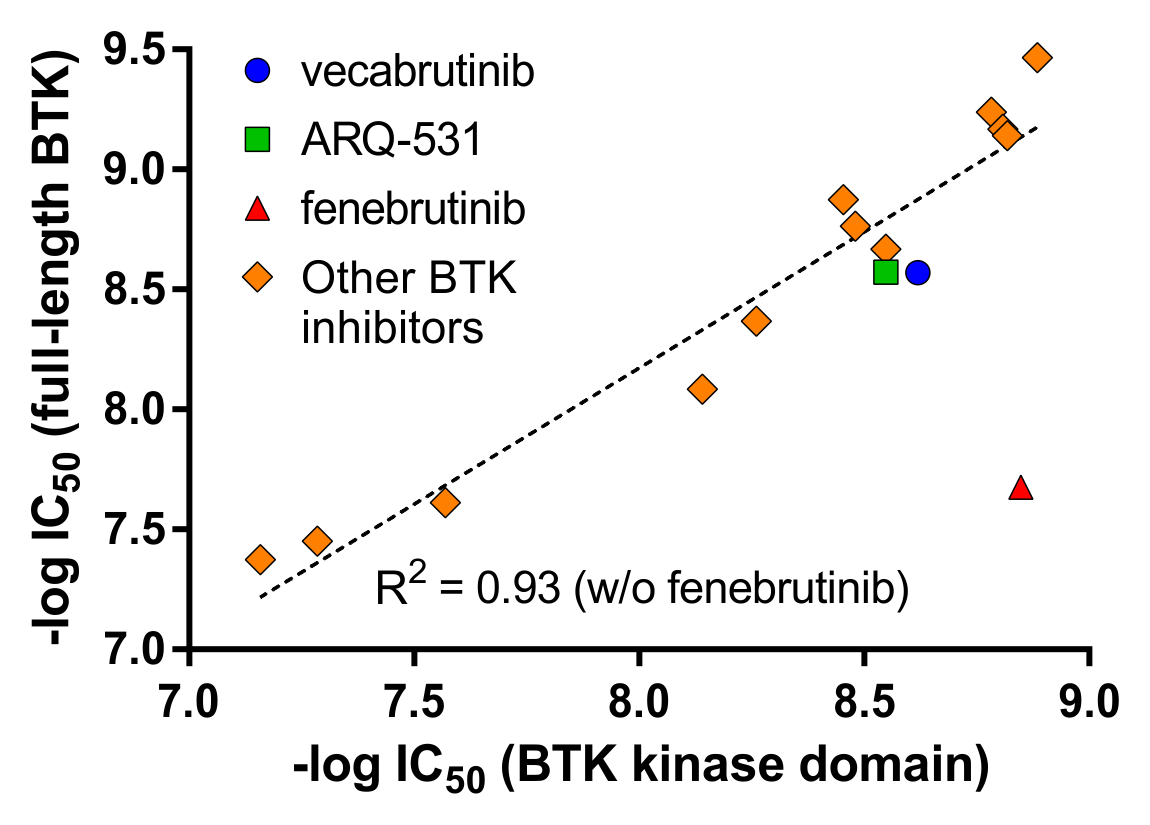 Correlation between BTK inhibitor IC50 values